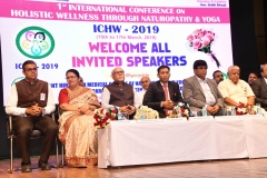 ICHW_Indo-Vietnam-Medical-Board-44