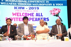 ICHW_Indo-Vietnam-Medical-Board-45