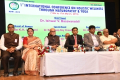 ICHW_Indo-Vietnam-Medical-Board-57