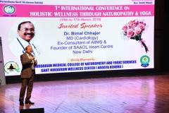 ICHW_Indo-Vietnam-Medical-Board-61
