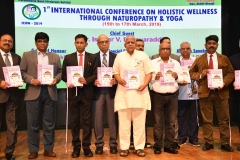ICHW_Indo-Vietnam-Medical-Board-97