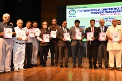 ICHW_Indo-Vietnam-Medical-Board-98