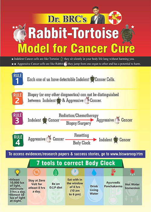 Rabbit-Tortoise-Model-of-cancer-cure-poster-A4