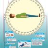 360degree Postural Medicine (Hindi) - Image 2