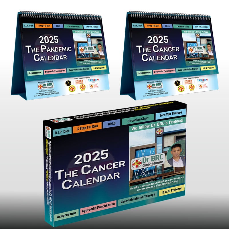 2025 The Pandemic Calendar