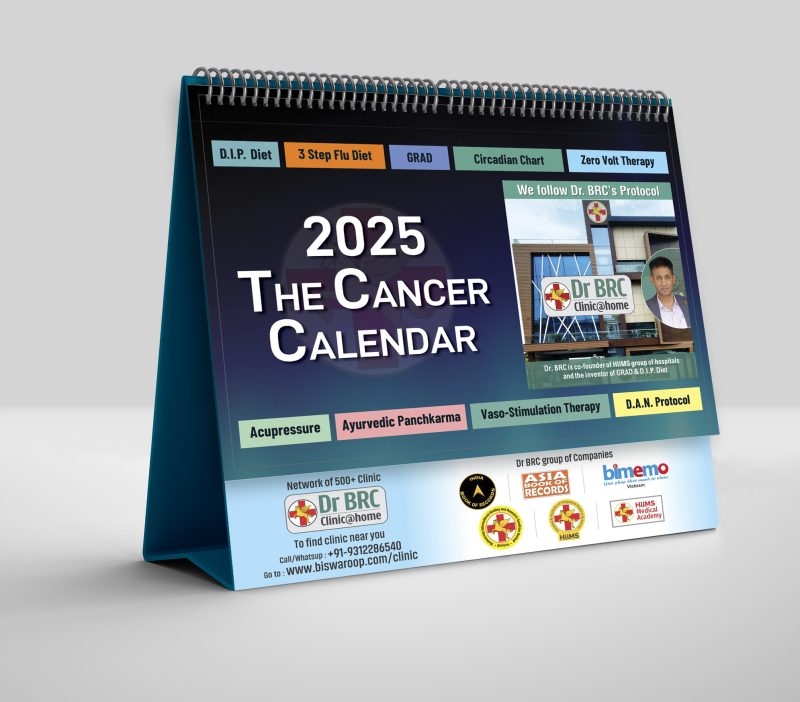 2025 The Pandemic Calendar - Image 3