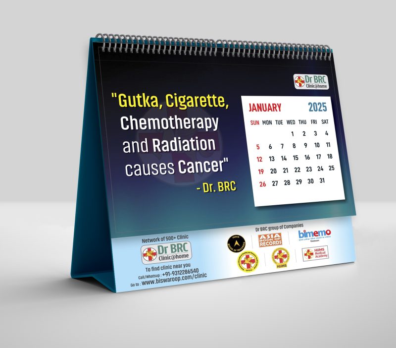 2025 The Pandemic Calendar - Image 5