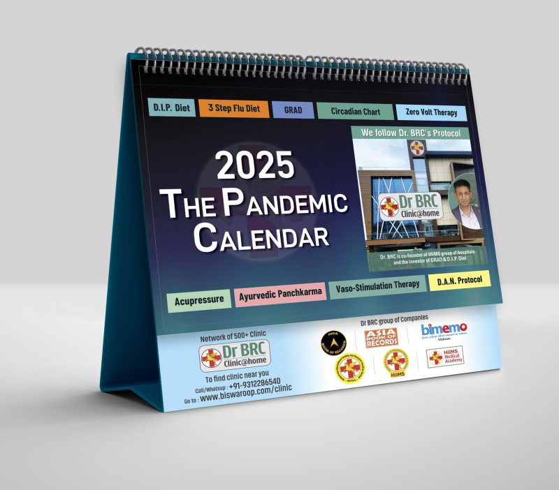 2025 The Pandemic Calendar - Image 4