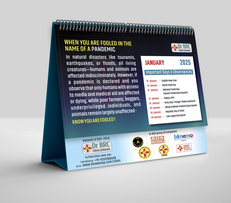 2025 The Pandemic Calendar - Image 2