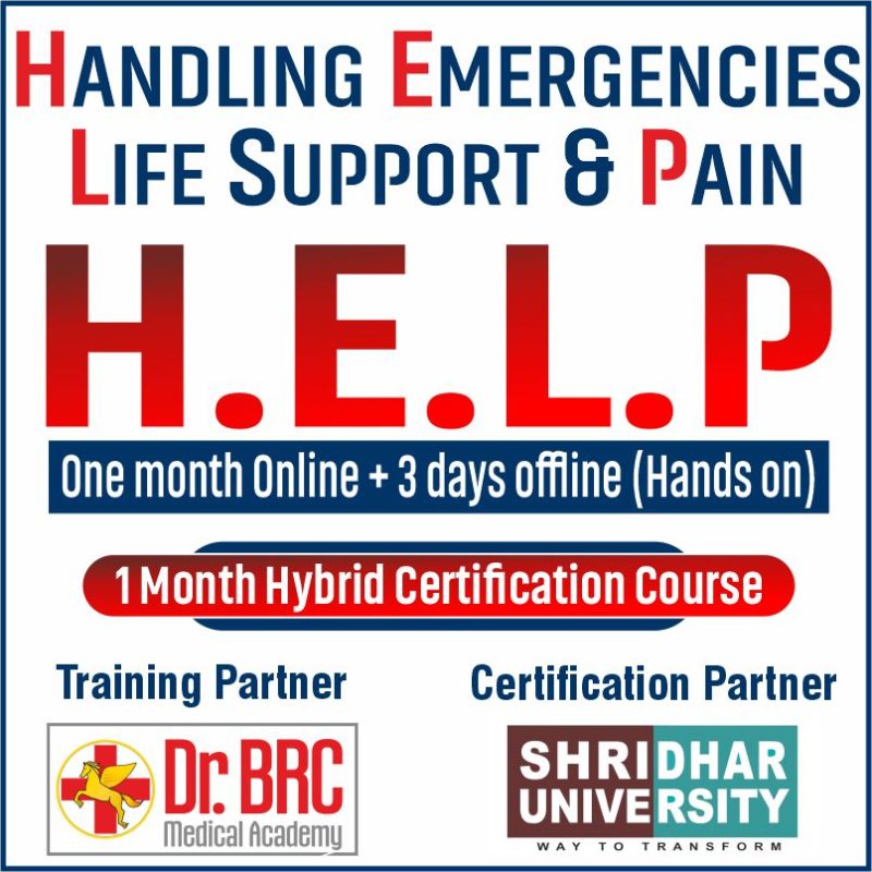 Handling Emergencies, Life Support & Pain (H.E.L.P)