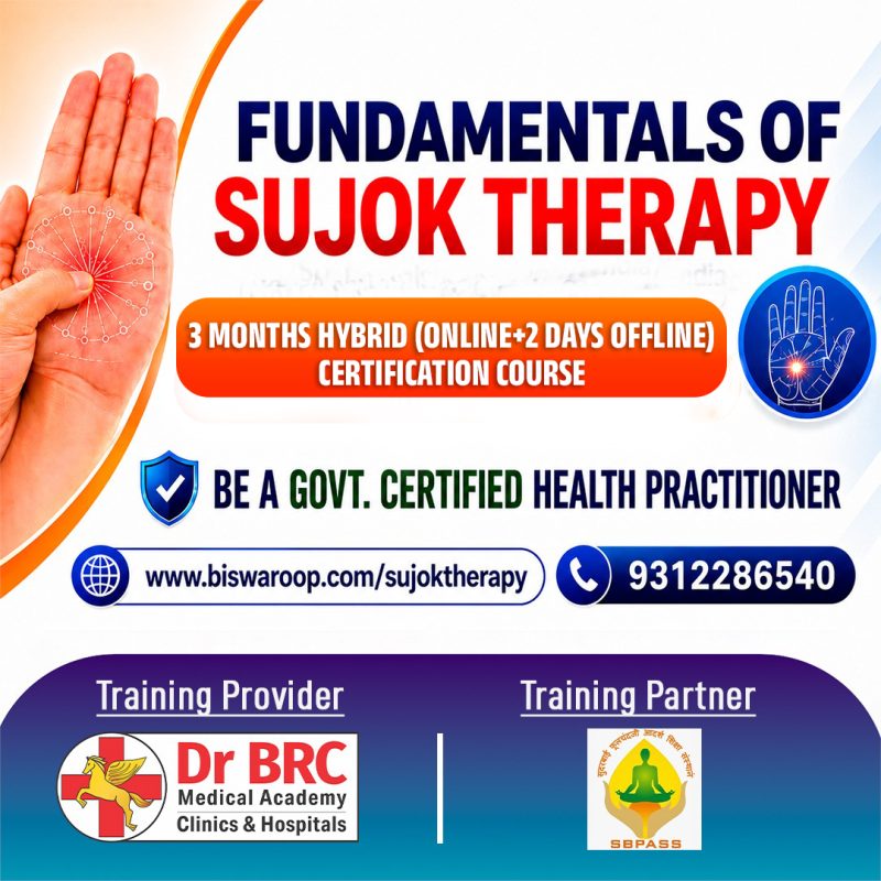 Fundamentals of Sujok Therapy